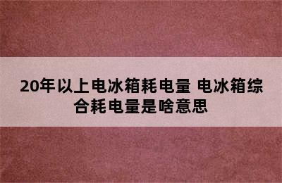 20年以上电冰箱耗电量 电冰箱综合耗电量是啥意思